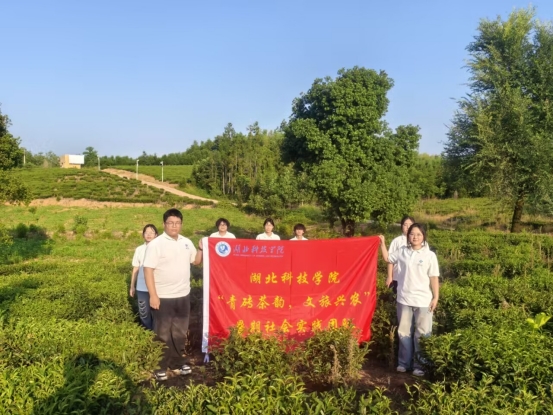 776net必赢官网