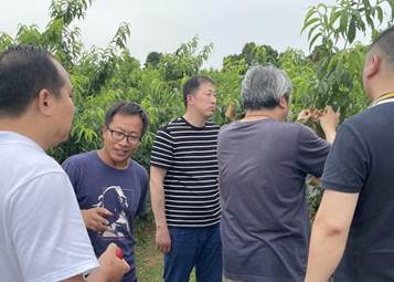 776net必赢官网